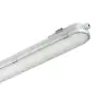 Philips Réglette LED Étanche CoreLine WT120C G2 61W 8000lm - 840  | 150cm - Dali Dimmable 